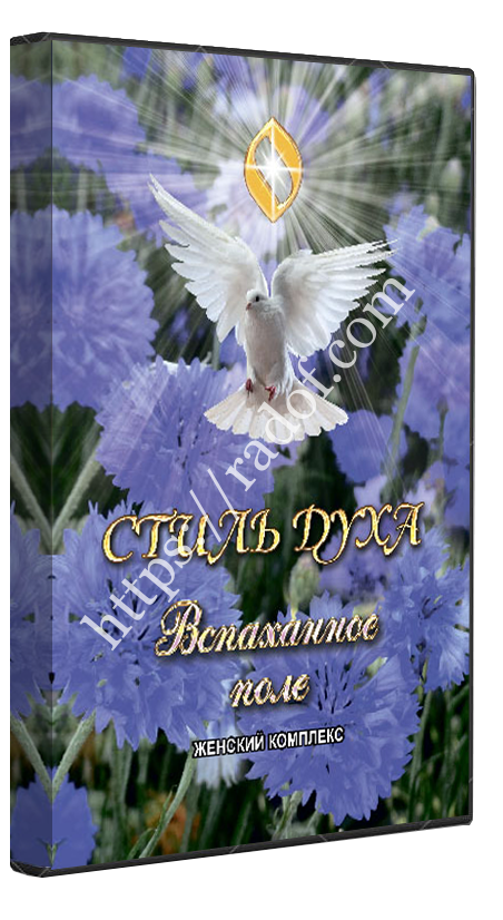 Stil_Duha_vspahannoe_pole